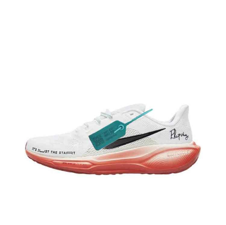Pegasus Zoom Moon